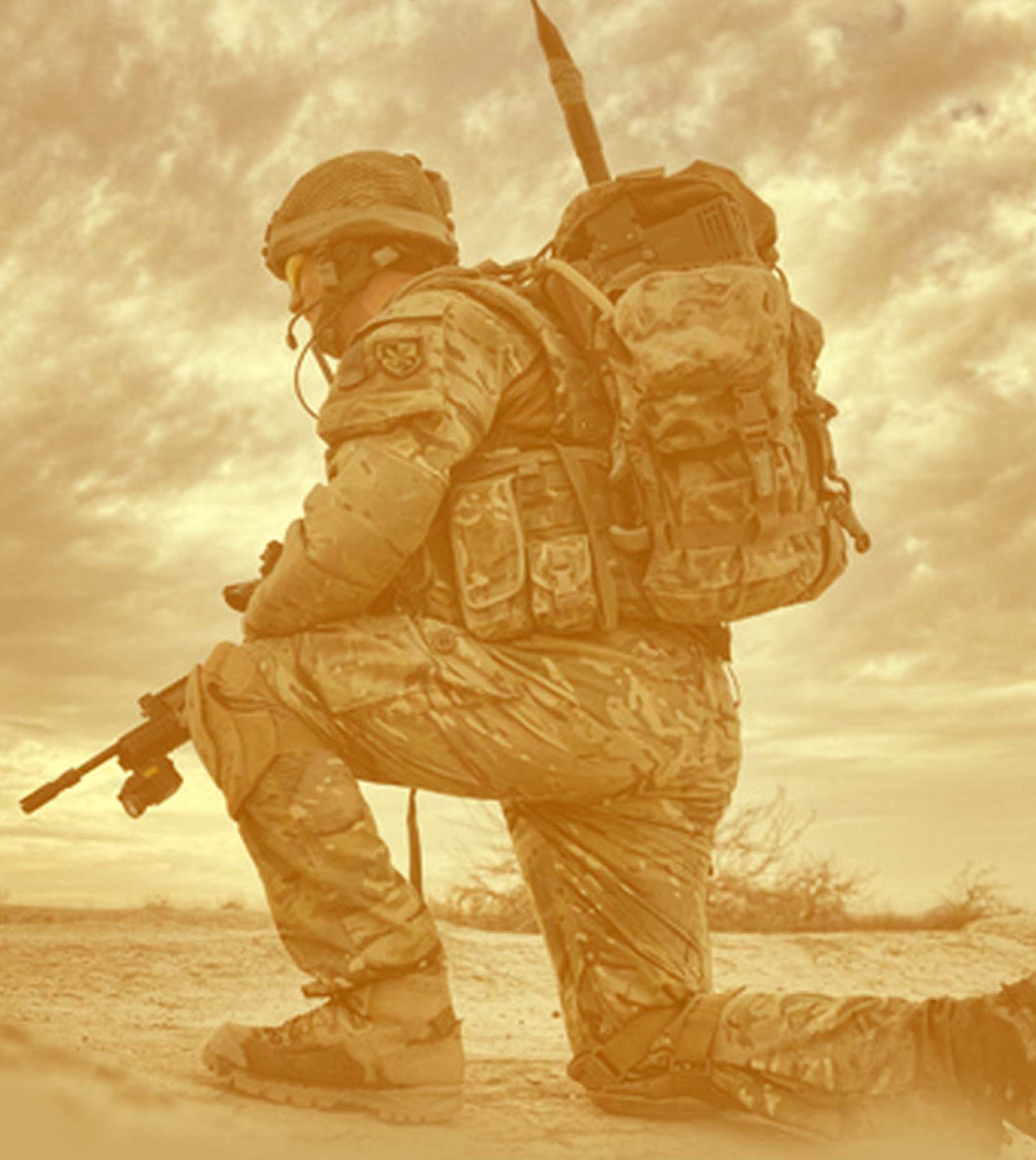 Defence_Homeland
