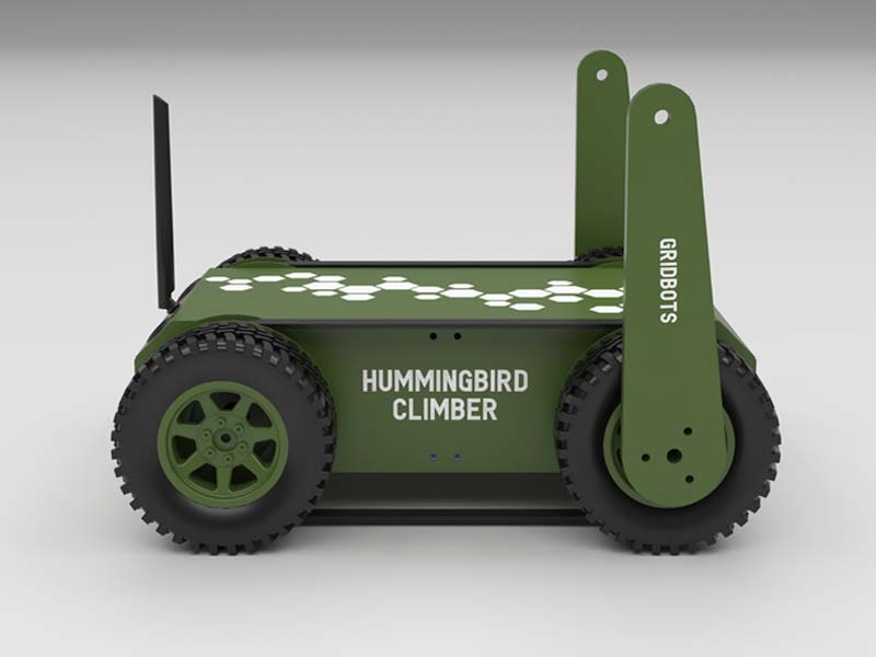 hummingbird_climber_1